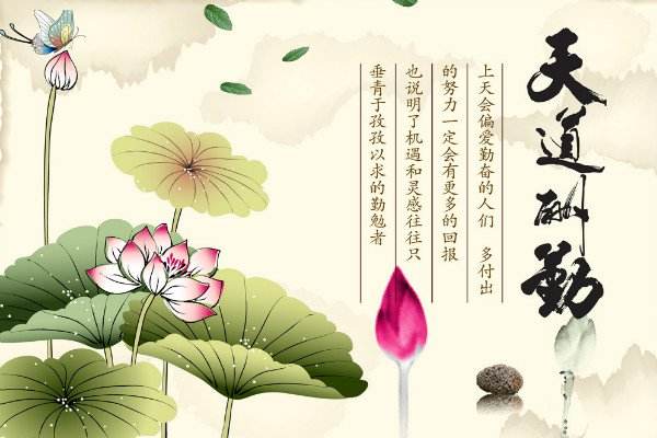 做SEO需要学习哪些技能,勤奋坚持的人!